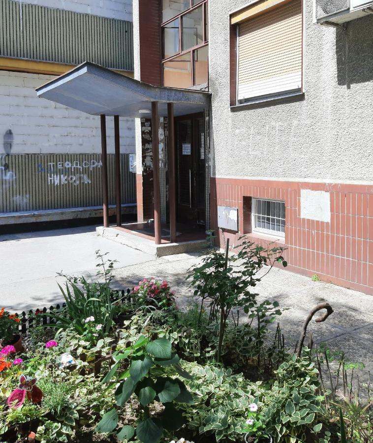 Ada, New Belgrade Lägenhet Exteriör bild